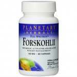 Planetary Herbals Forskohlii supplement for weight loss