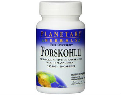 Planetary Herbals Forskohlii supplement for weight loss