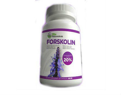 Elite Nutraceuticals Forskolin Extract Supplement