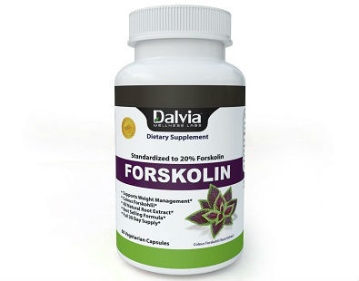 Dalvia Forskolin Standardized Supplement