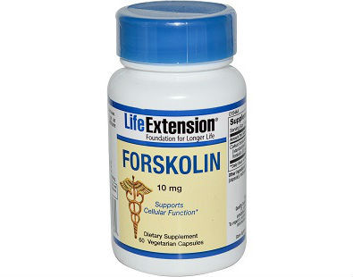 Life Extension Forskolin Supplement