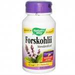 Forskohlii Standardized Nature’s Way Supplement