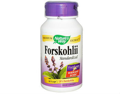 Forskohlii Standardized Nature’s Way Supplement